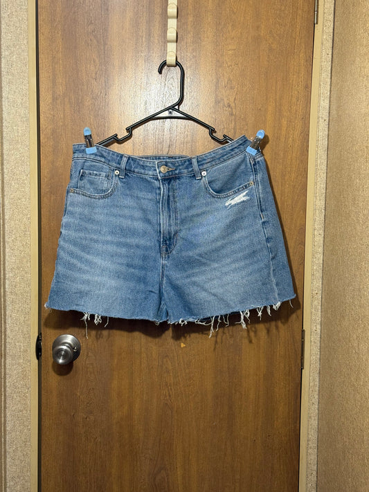American Eagle Denim Shorts