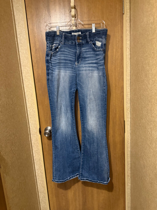 BKE Payton Jeans