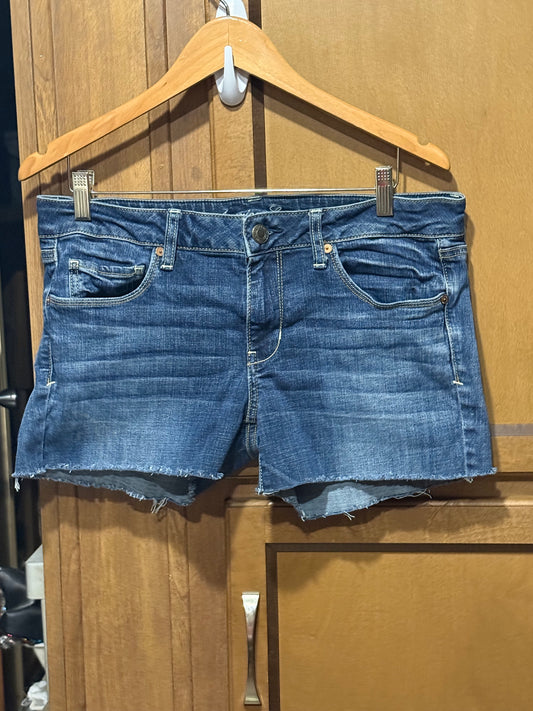 American Eagle Midi short