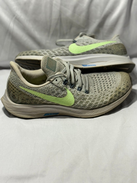 Nike Air Zoom Pegasus