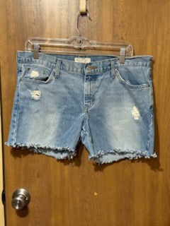 American Eagle Denim Shorts