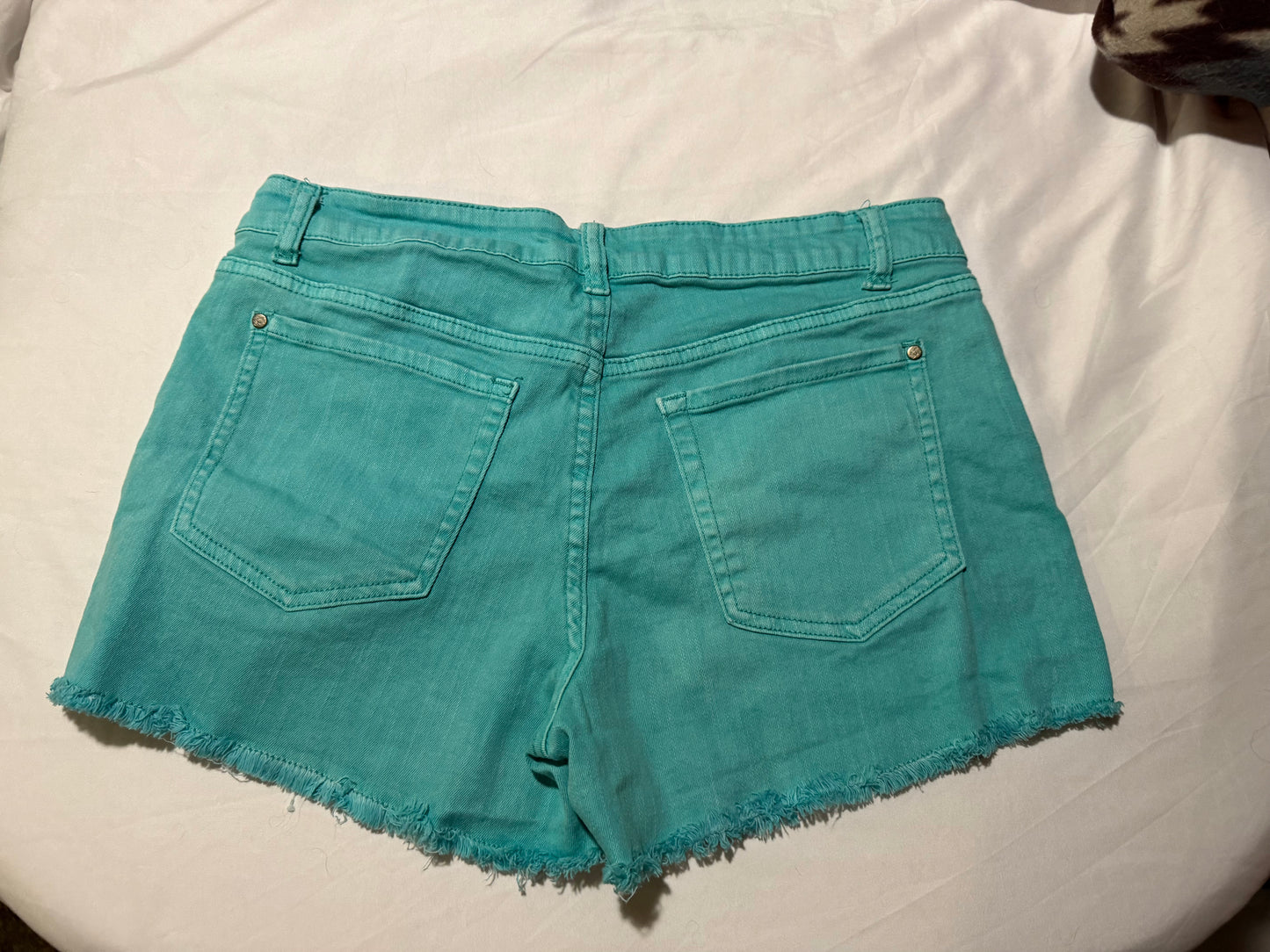 Sterling Knox Aqua Colored Denim shorts